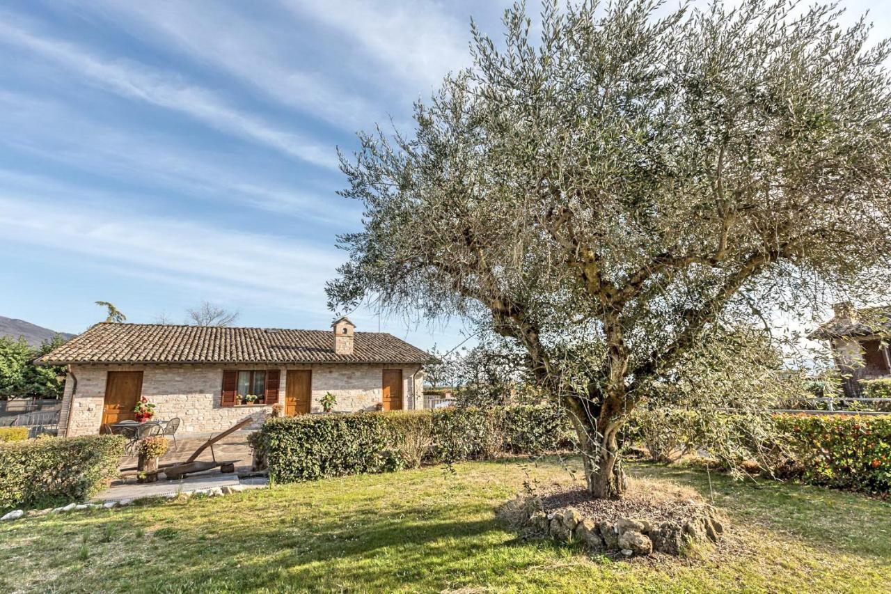 Farm stay Panorama D'incanto