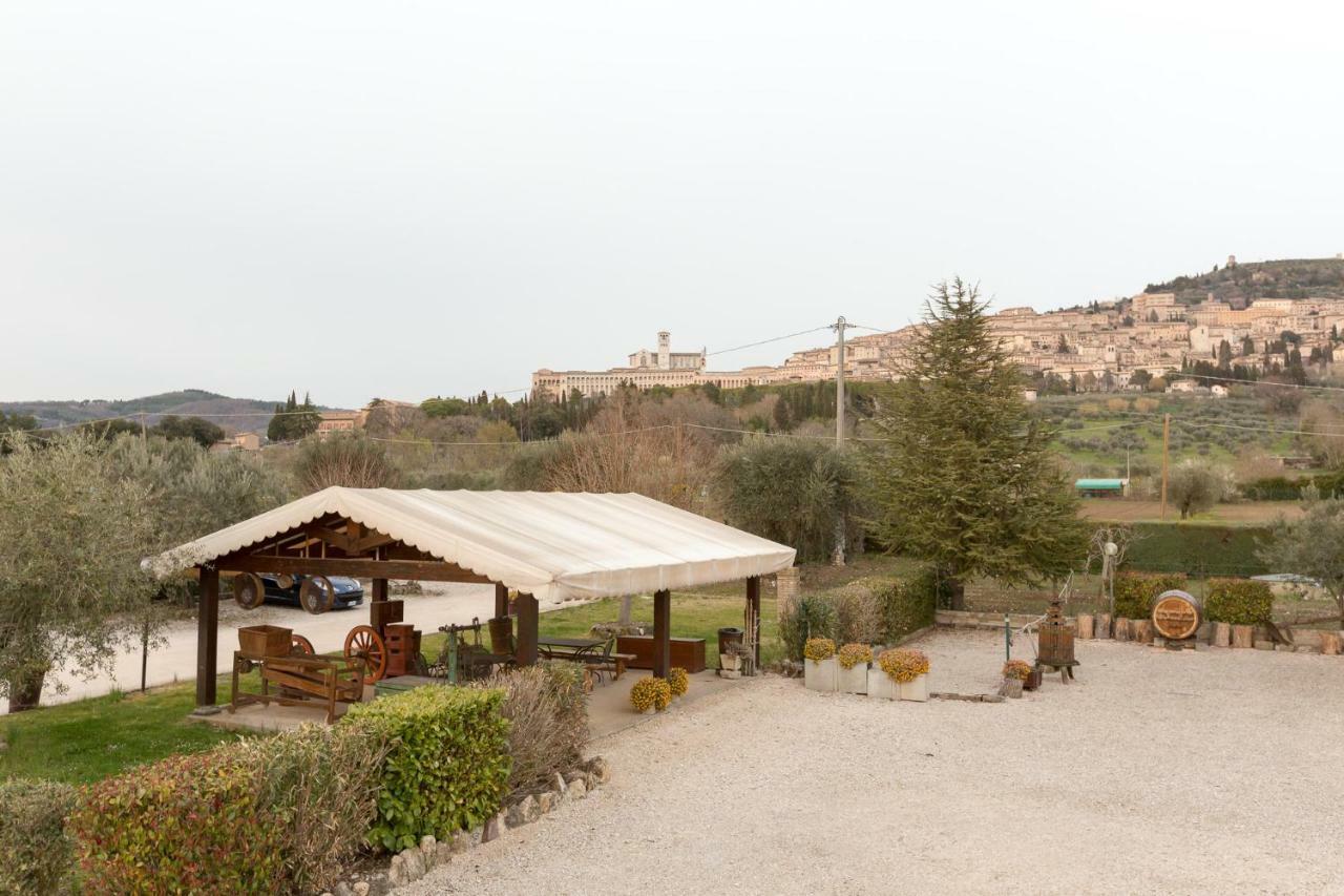 Alojamento de Turismo Rural Panorama D'incanto *