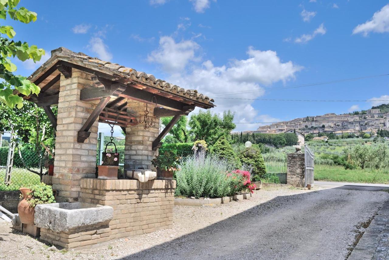 Panorama D'incanto Agroturismo Asís